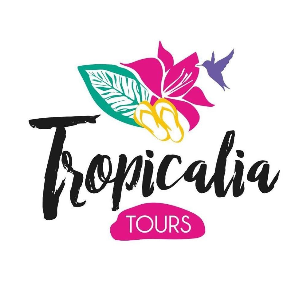 Logo Destino Tour